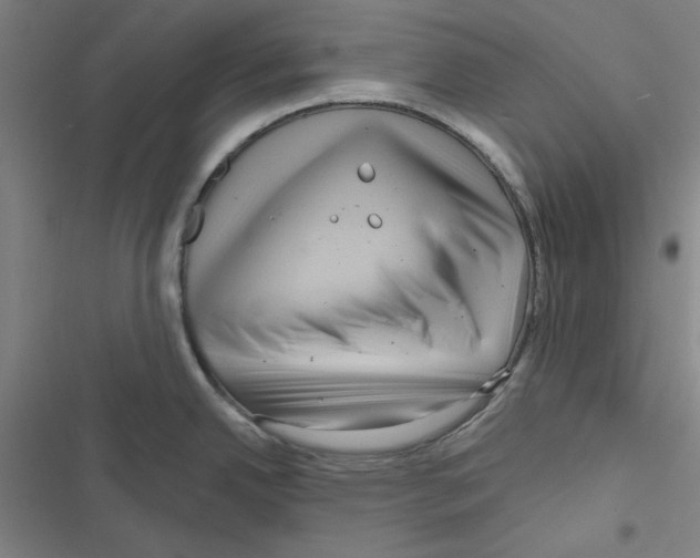 X0000116871342201001191715