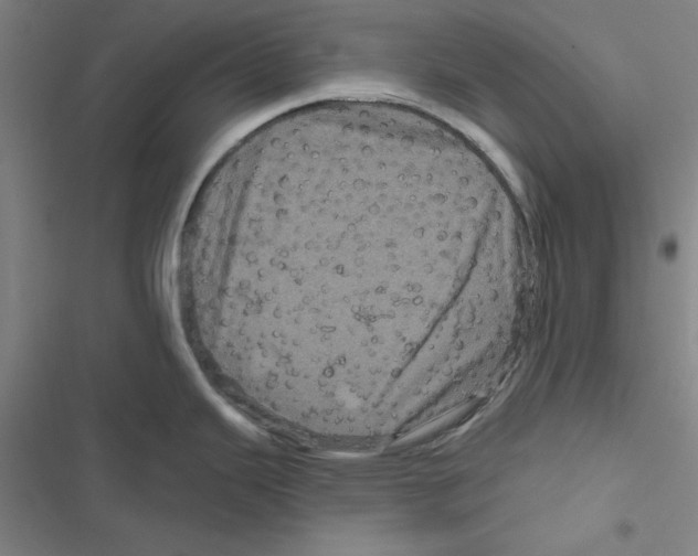 X0000116871343201001191715