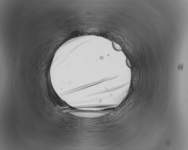X0000116871345201001191714