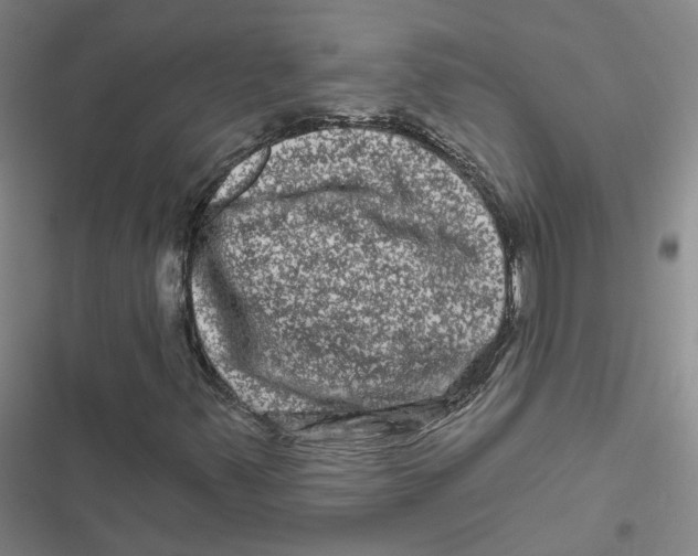 X0000116871347201001191714