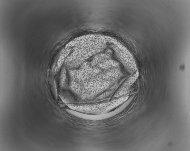X0000116871349201001191714