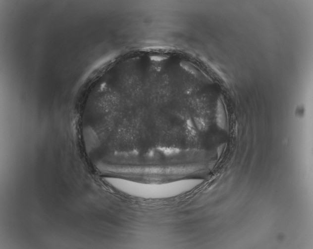 X0000116871351201001191714