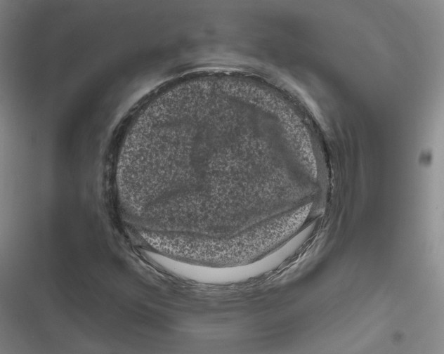 X0000116871352201001191714