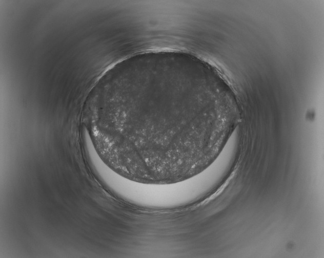 X0000116871353201001191714