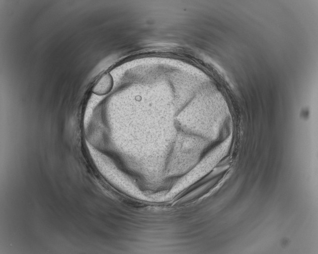 X0000116871354201001191714