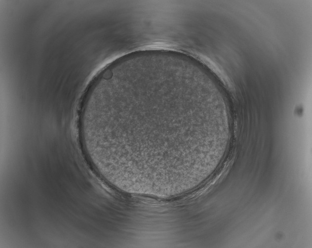 X0000116871356201001191714