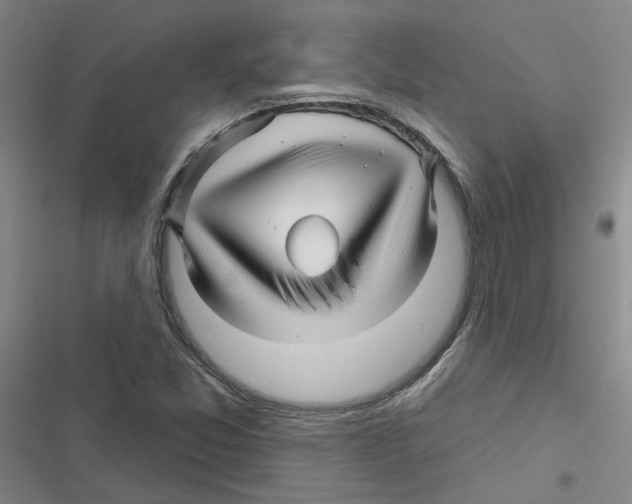 X0000116871357201001191714