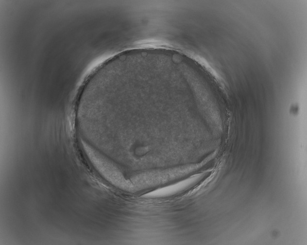 X0000116871358201001191714