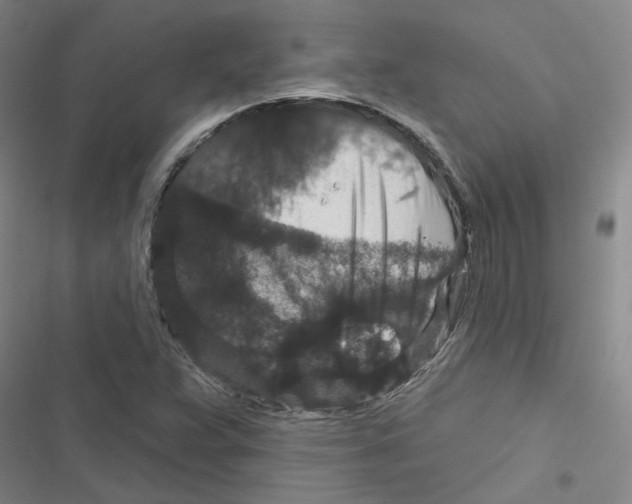 X0000116871359201001191714
