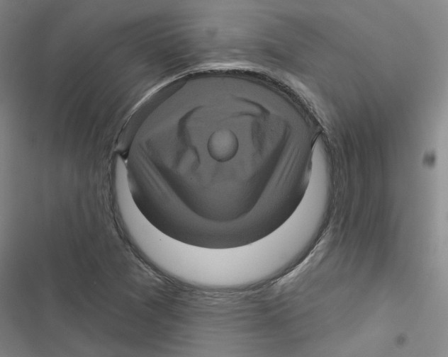 X0000116871361201001191714