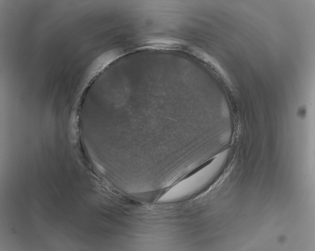 X0000116871362201001191714