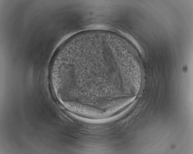 X0000116871364201001191714