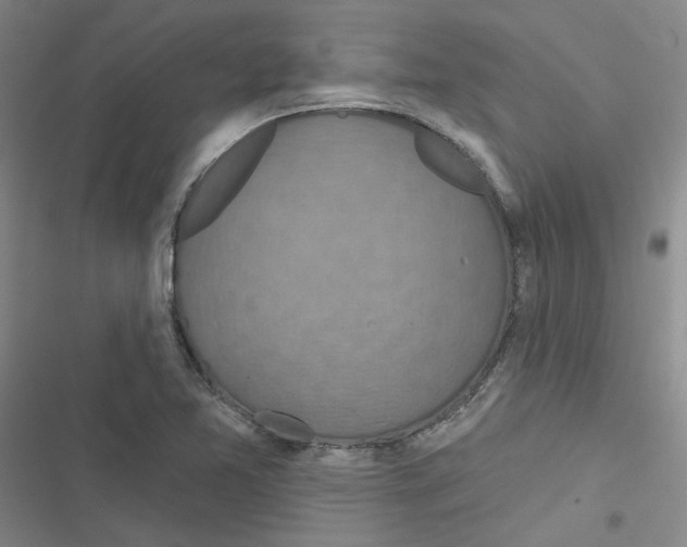 X0000116871365201001191714