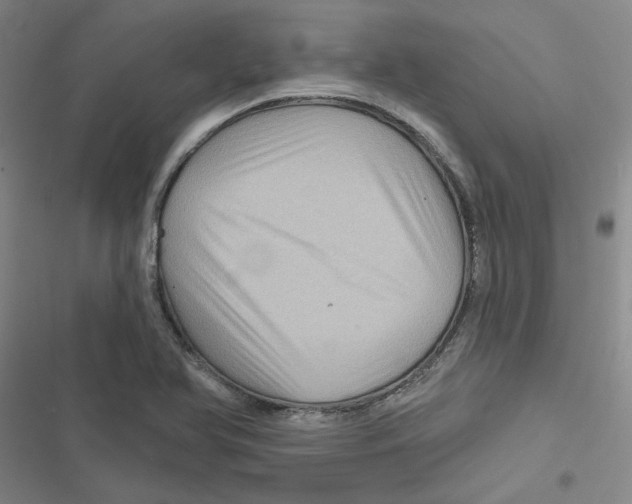X0000116871366201001191714