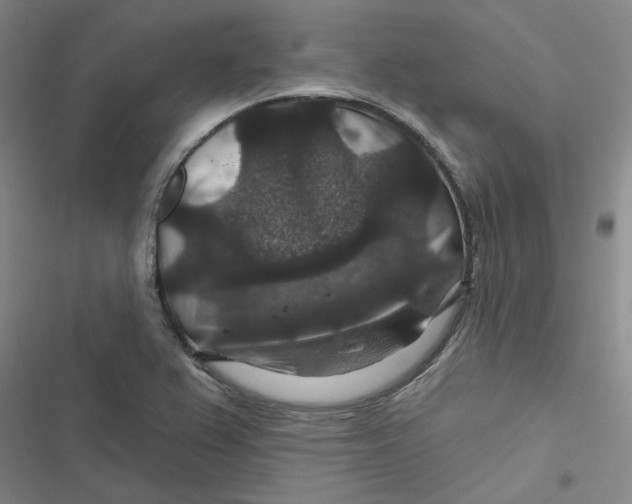 X0000116871367201001191714