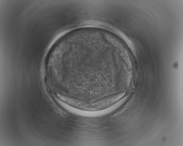 X0000116871368201001191714
