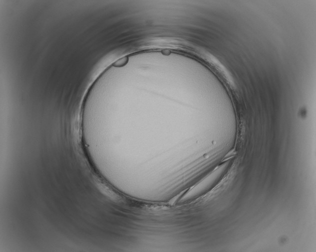 X0000116871370201001191714