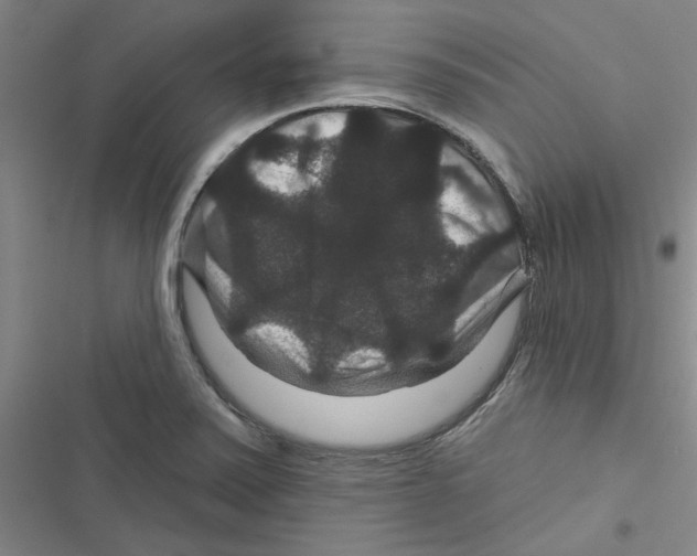 X0000116871371201001191714