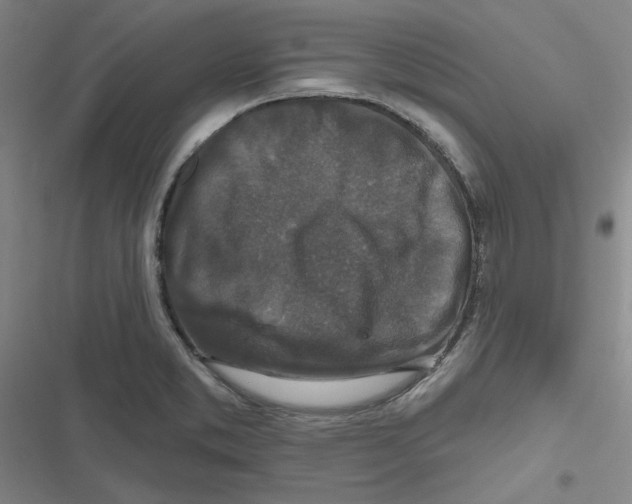 X0000116871373201001191714