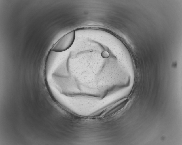 X0000116871374201001191714