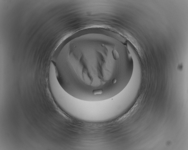 X0000116871377201001191713