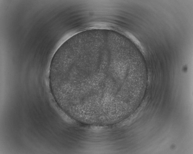 X0000116871378201001191713
