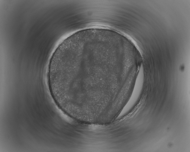 X0000116871379201001191713