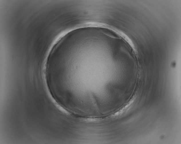 X0000116871381201001191713