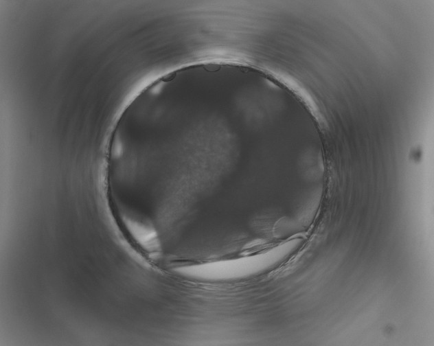 X0000116871383201001191713