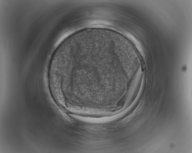 X0000116871384201001191713