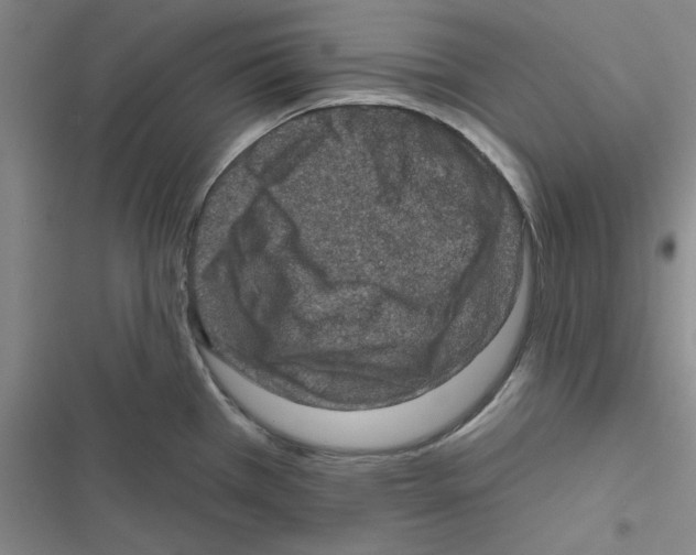 X0000116871385201001191713