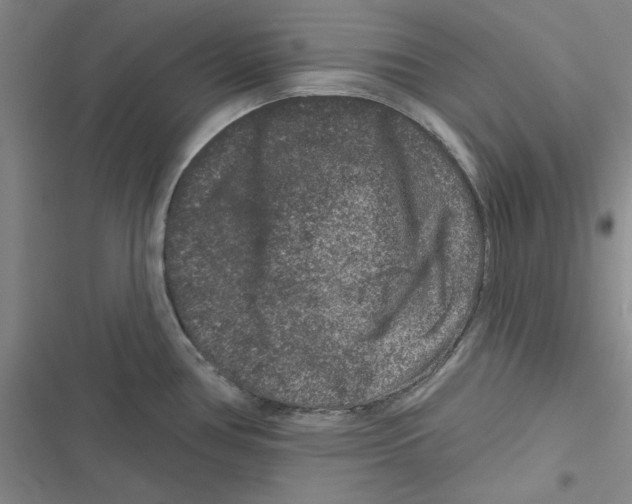 X0000116871386201001191713