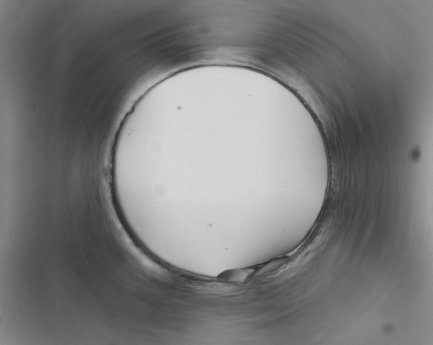 X0000116871387201001191713