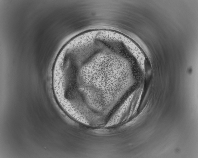 X0000116871388201001191713