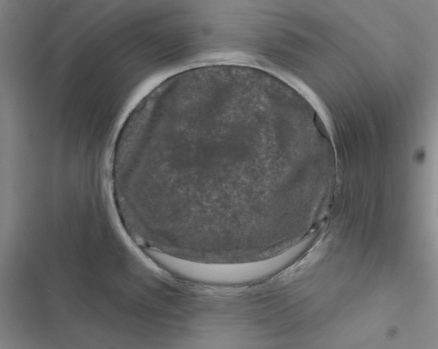 X0000116871389201001191713