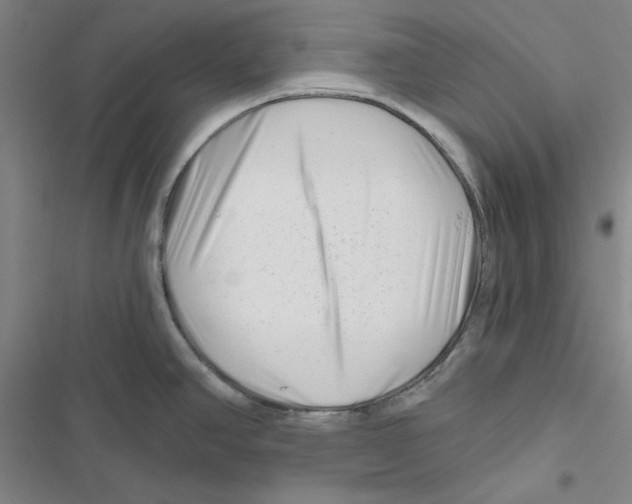 X0000116871390201001191713