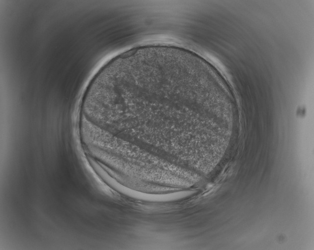 X0000116871392201001191713