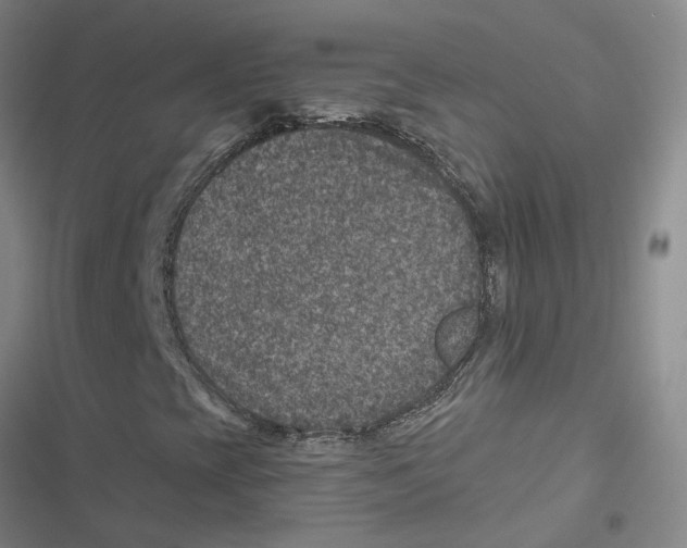 X0000116871393201001191713