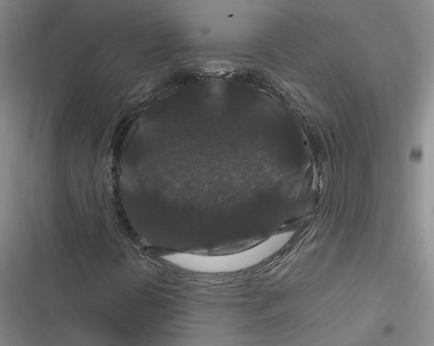 X0000116871394201001191713