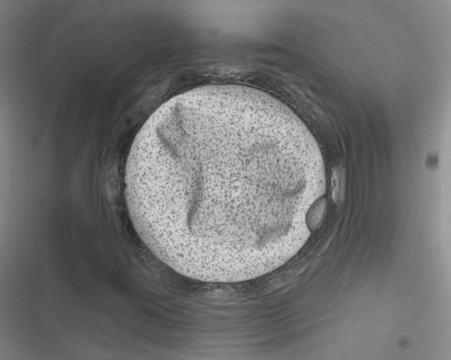 X0000116871395201001191713