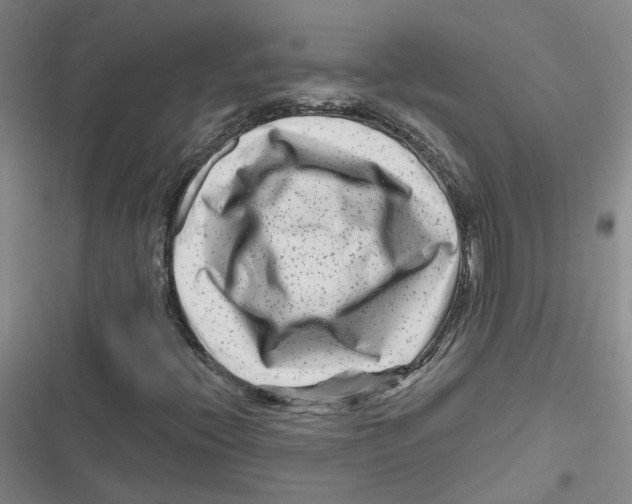 X0000116871396201001191713