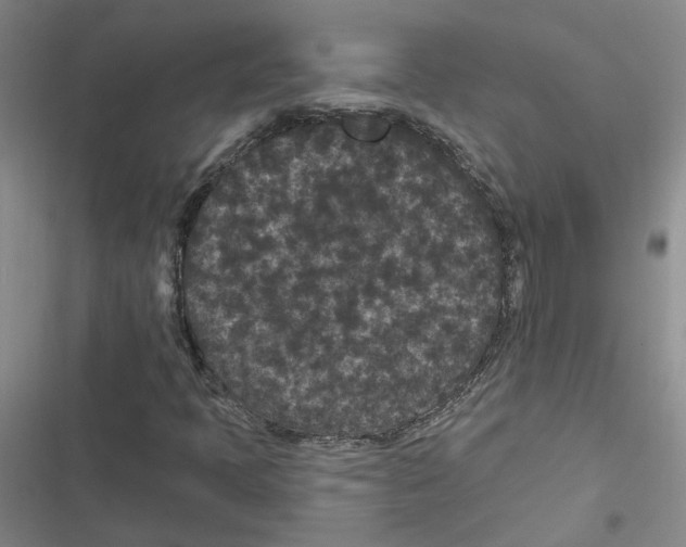 X0000116871397201001191713