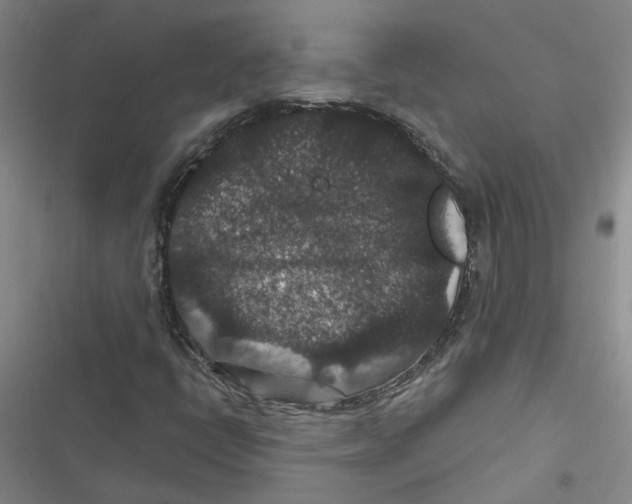 X0000116871398201001191713