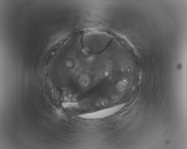 X0000116871399201001191713