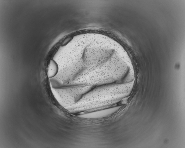 X0000116871400201001191713