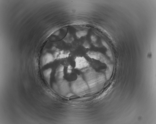 X0000116871401201001191713