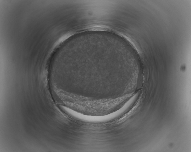 X0000116871402201001191713