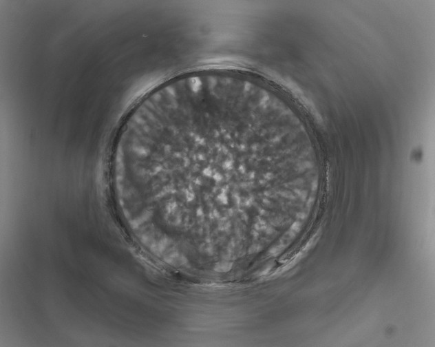 X0000116871405201001191713