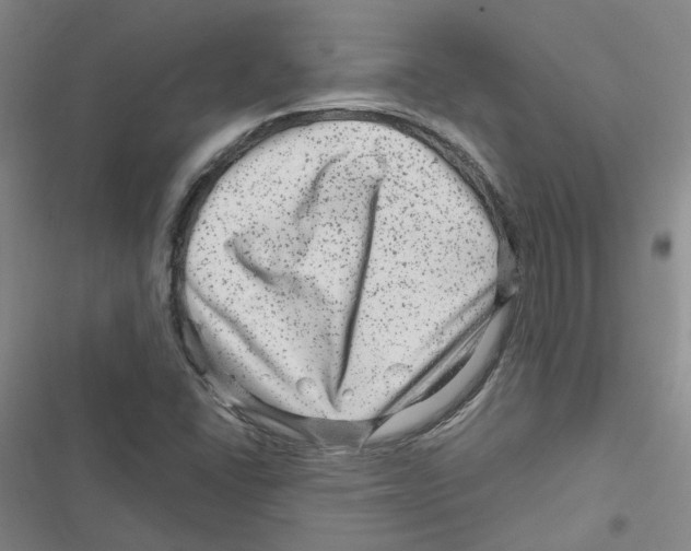 X0000116871406201001191713