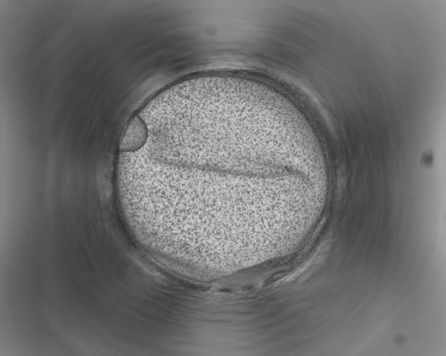 X0000116871409201001191713
